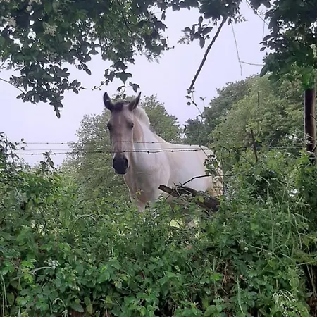 Ferienhaus Stone Santiago