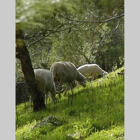 Casa vacanze Stone Santiago *