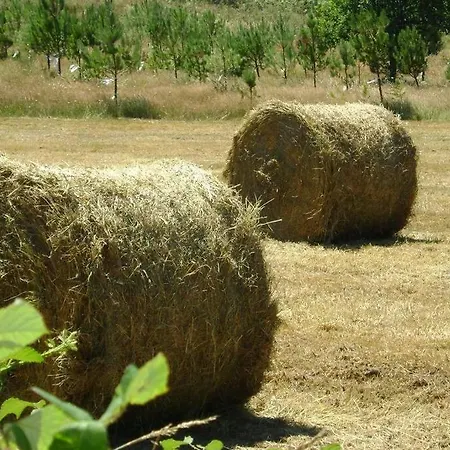 Stone Santiago Ferienhaus *