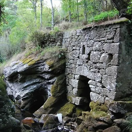 Stone Santiago * Curtis