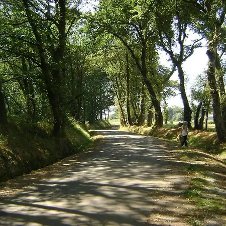 Stone Santiago * Curtis