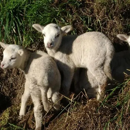 Stone Santiago Casa vacanze Curtis