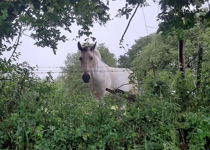 Dom wakacyjny Stone Santiago
