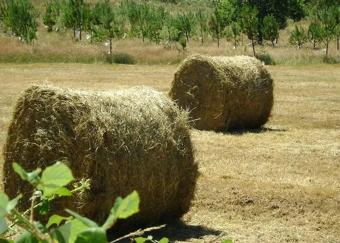 Stone Santiago Dom wakacyjny *